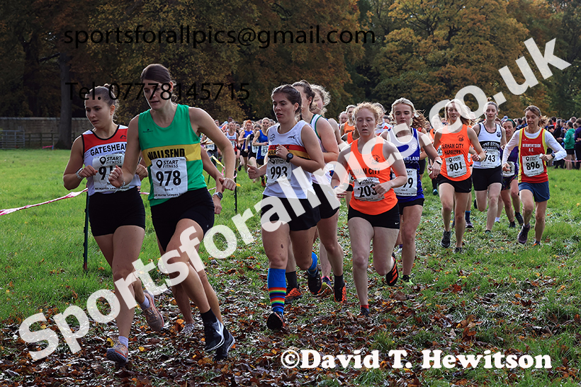 Senior women 2024 Start Fitness NEHL, Lambton Park, near Chester le Street, County Durham.   Photo: David T. Hewitson/Sports for All Pics